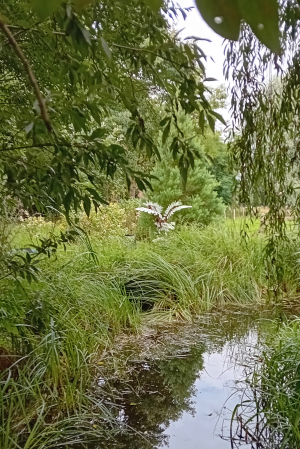 Marc Hadermann - La chute d'Icare (In garden)(Glass, steel, stone)